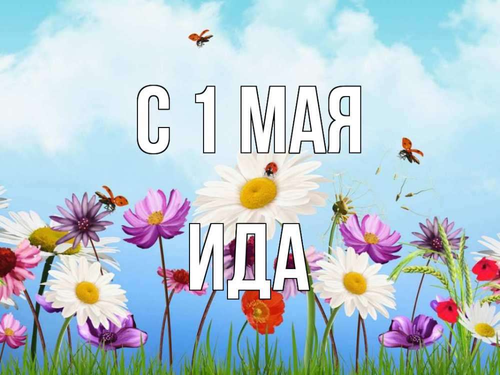 Открытка на каждый день с именем, Ида С 1 мая С 1 мая Прикольная открытка с пожеланием онлайн скачать бесплатно 