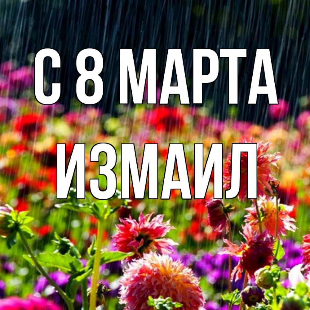 Открытка на каждый день с именем, Измаил С 8 МАРТА цветы под дождиком к международному женскому дню Прикольная открытка с пожеланием онлайн скачать бесплатно 