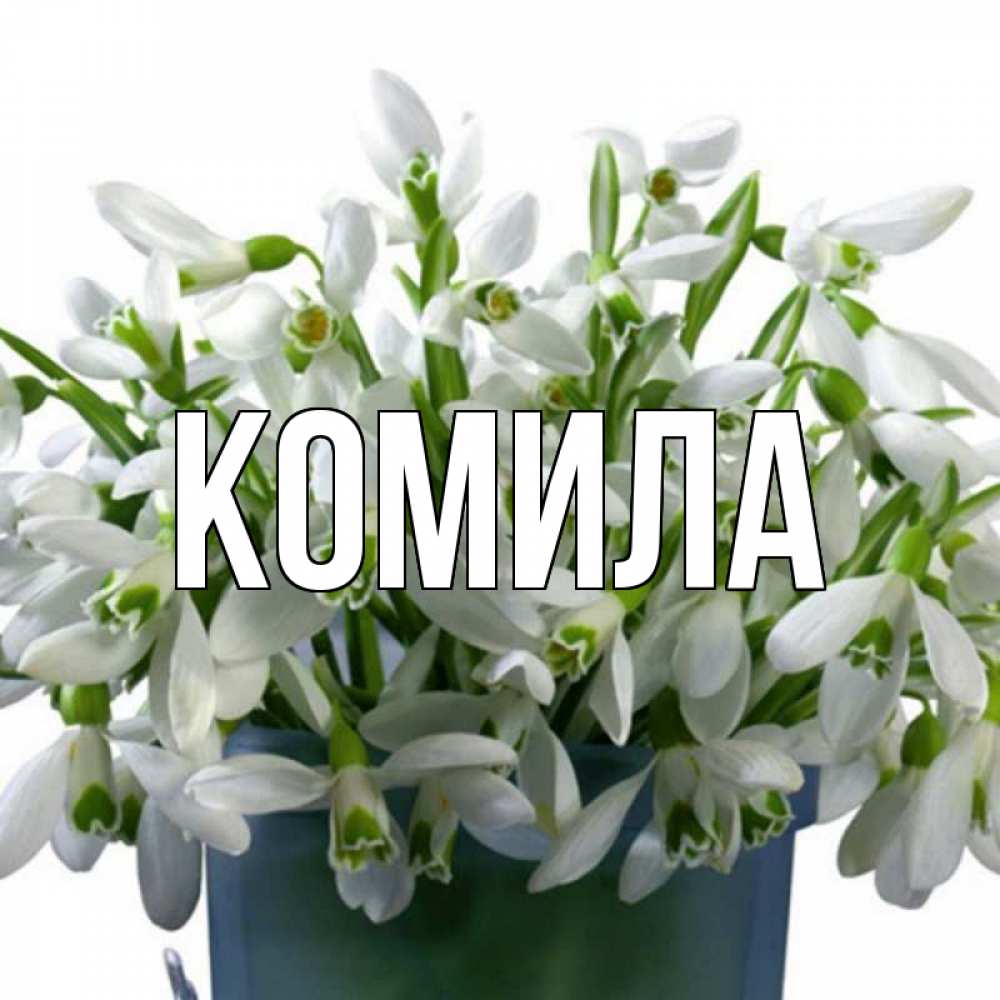 Открытка на каждый день с именем, Комила Главная цветы к международному женскому дню Прикольная открытка с пожеланием онлайн скачать бесплатно 