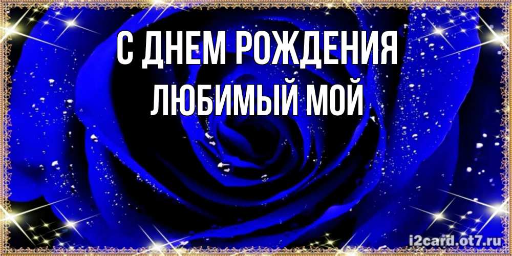 Открытка на каждый день с именем, Любимый-мой С днем рождения голубые цветы в росе Прикольная открытка с пожеланием онлайн скачать бесплатно 