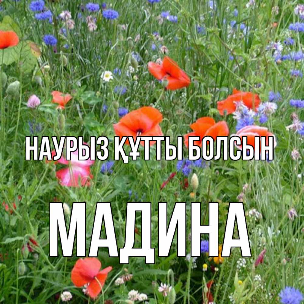 Открытка на каждый день с именем, Мадина Наурыз құтты болсын наурыз  4 Прикольная открытка с пожеланием онлайн скачать бесплатно 