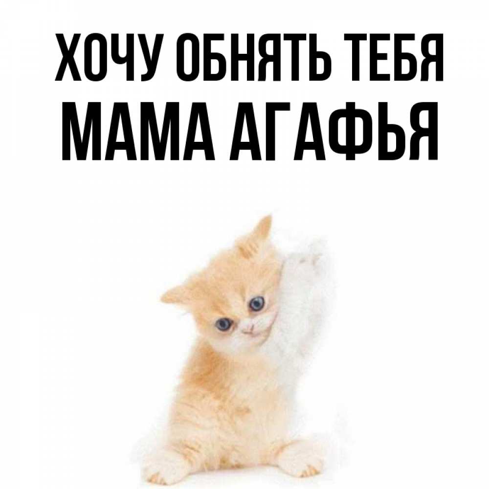 Открытка на каждый день с именем, Мама-Агафья Хочу обнять тебя я хочу очень скорее обнимаешек Прикольная открытка с пожеланием онлайн скачать бесплатно 