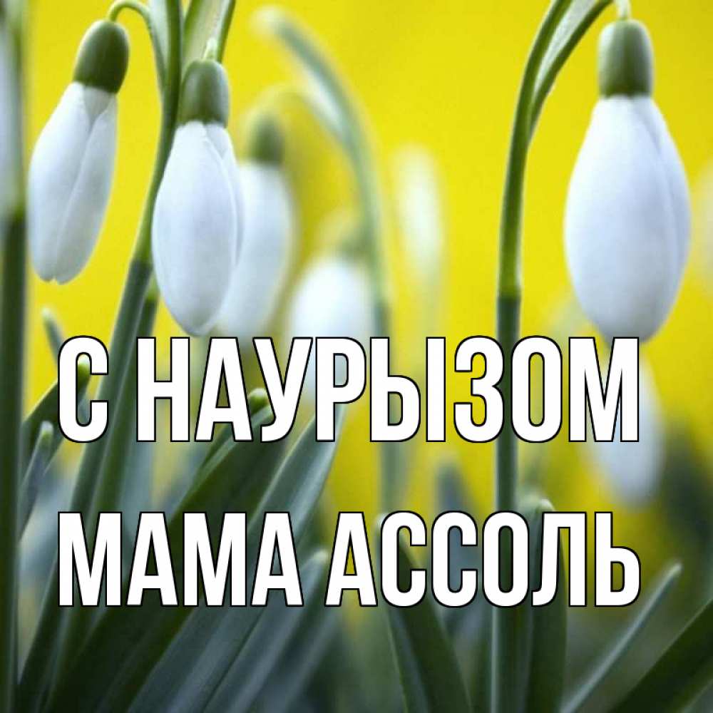 Открытка на каждый день с именем, Мама-Ассоль С наурызом весенние цветы Прикольная открытка с пожеланием онлайн скачать бесплатно 