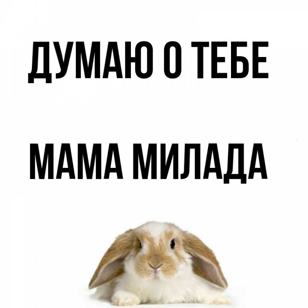 Открытка на каждый день с именем, Мама-Милада Думаю о тебе подписать своими руками онлайн Прикольная открытка с пожеланием онлайн скачать бесплатно 