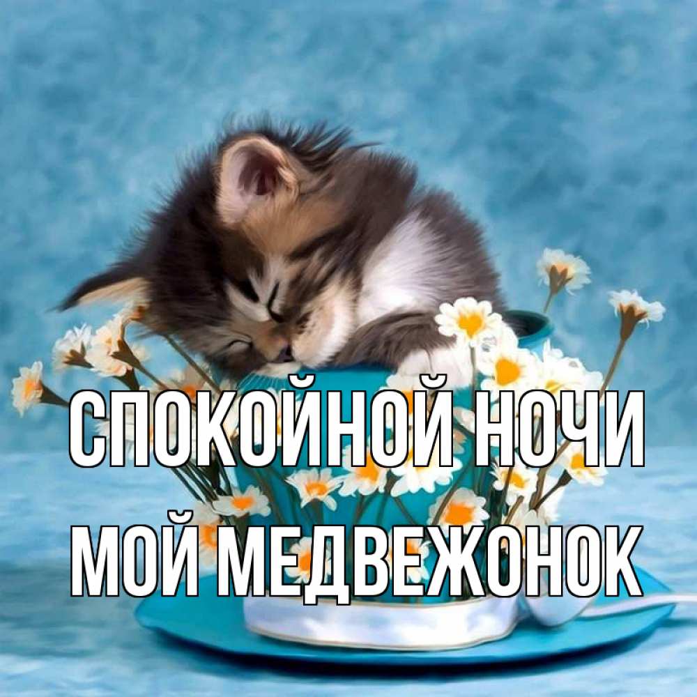 Открытка на каждый день с именем, Мой-Медвежонок Спокойной ночи котенок спит в кружке с блюдцем Прикольная открытка с пожеланием онлайн скачать бесплатно 