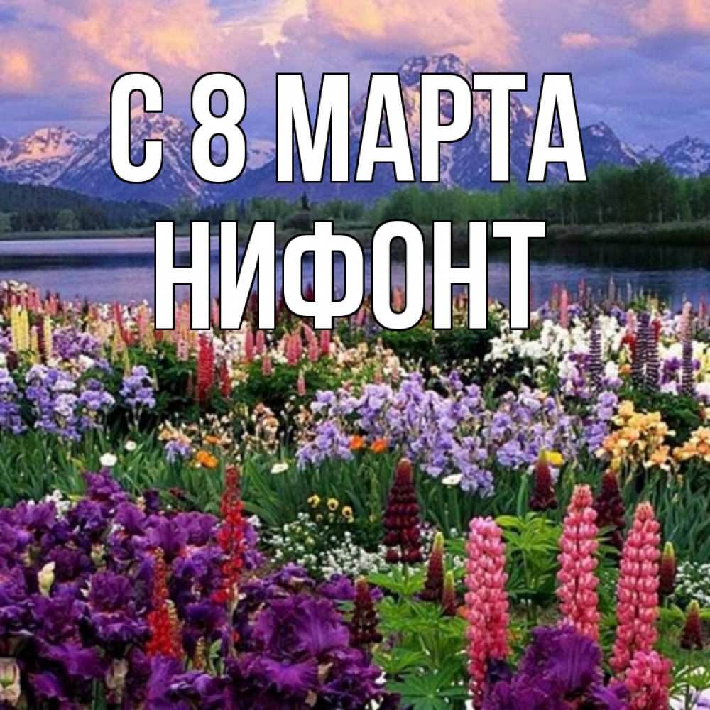 Открытка на каждый день с именем, Нифонт С 8 марта международный женский день Прикольная открытка с пожеланием онлайн скачать бесплатно 