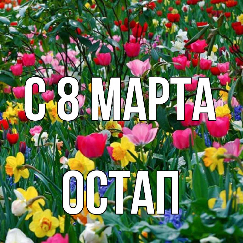 Открытка на каждый день с именем, Остап С 8 МАРТА с международным женским днем поздравления для женщины Прикольная открытка с пожеланием онлайн скачать бесплатно 