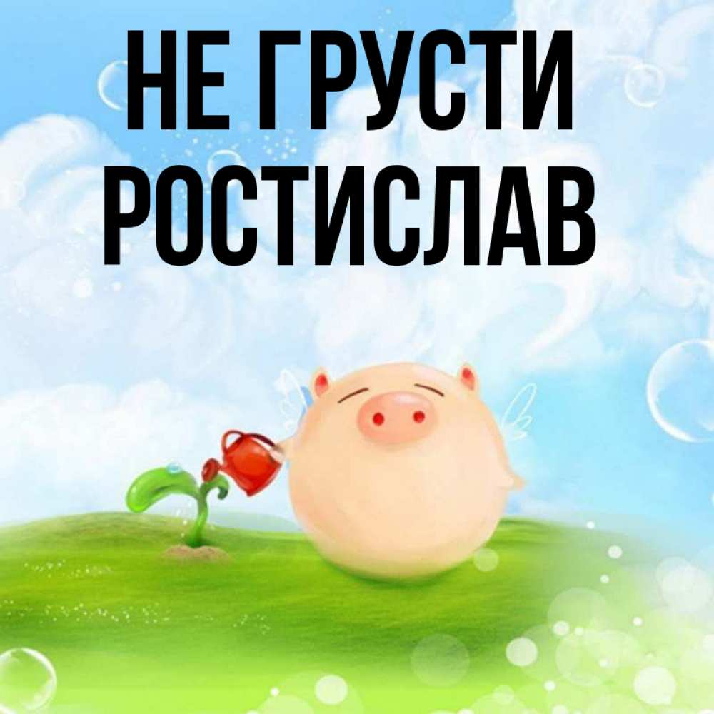 Открытка на каждый день с именем, Ростислав Не грусти поливает цветок порося Прикольная открытка с пожеланием онлайн скачать бесплатно 