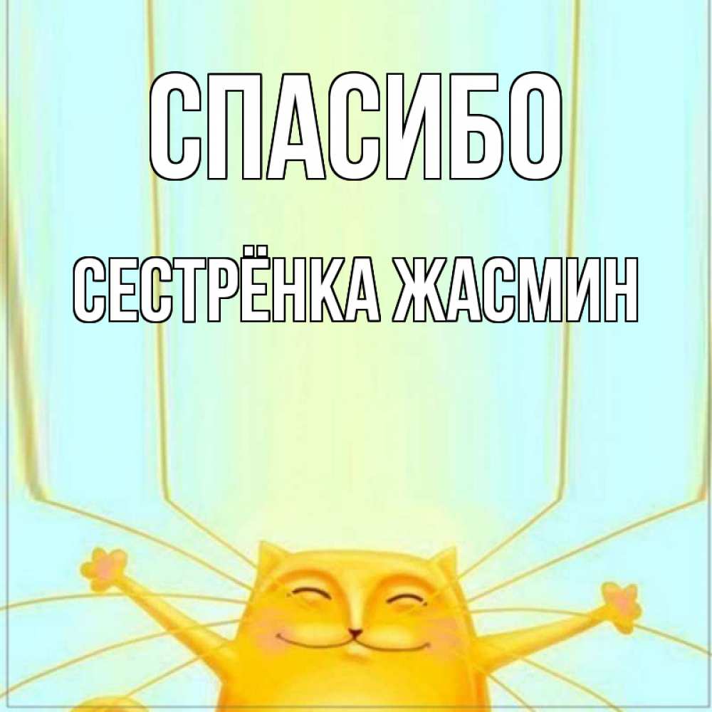 Открытка на каждый день с именем, Сестрёнка-Жасмин Спасибо кот с усами благодарит Прикольная открытка с пожеланием онлайн скачать бесплатно 