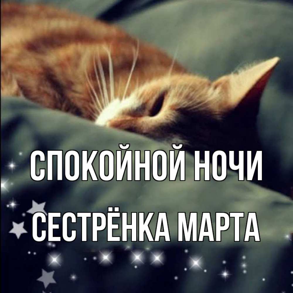 Открытка на каждый день с именем, Сестрёнка-Марта Спокойной ночи кроватка Прикольная открытка с пожеланием онлайн скачать бесплатно 