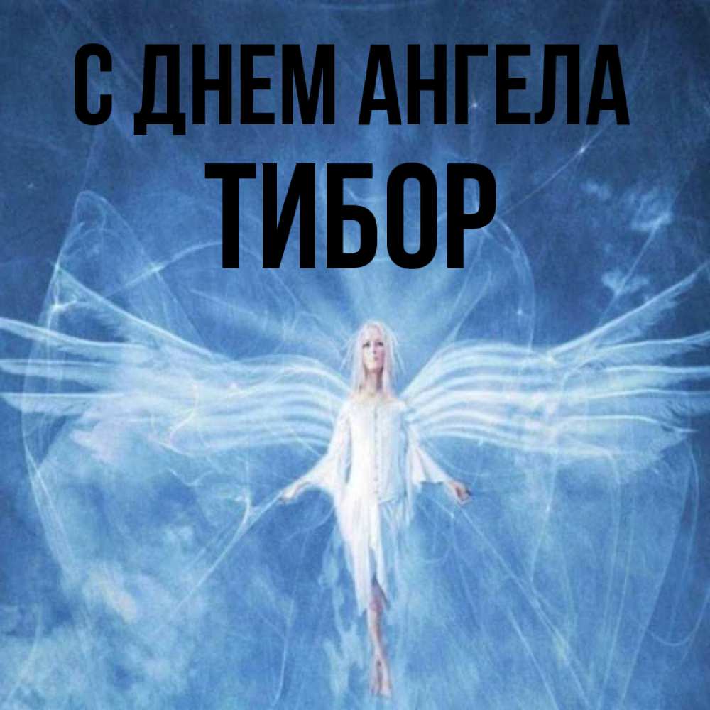 Открытка на каждый день с именем, Тибор С днем ангела голубой фон и крылья как у стрекозы Прикольная открытка с пожеланием онлайн скачать бесплатно 