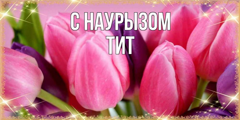 Открытка на каждый день с именем, Тит С наурызом тюльпаны для женщины на праздник весны наурыз Прикольная открытка с пожеланием онлайн скачать бесплатно 