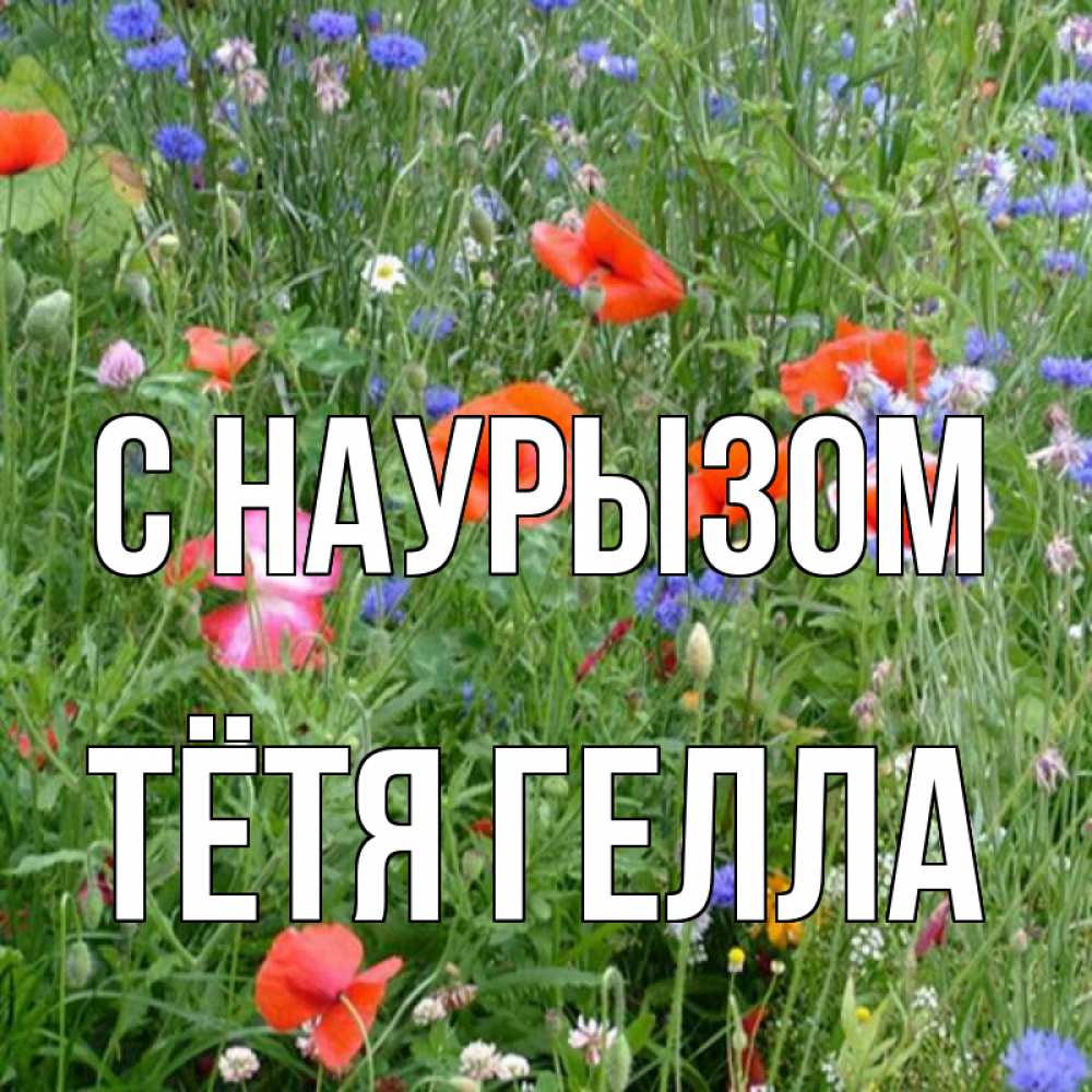 Открытка на каждый день с именем, Тётя-Гелла С наурызом праздник весны наурыз супер открытка Прикольная открытка с пожеланием онлайн скачать бесплатно 