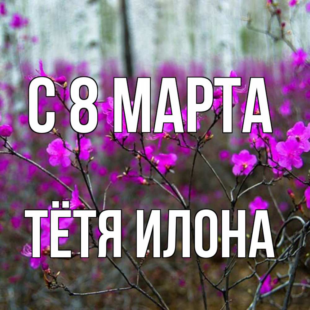 Открытка на каждый день с именем, Тётя-Илона С 8 МАРТА дикие цветы Прикольная открытка с пожеланием онлайн скачать бесплатно 