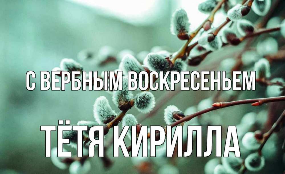 Открытка на каждый день с именем, Тётя-Кирилла С вербным воскресеньем верба Прикольная открытка с пожеланием онлайн скачать бесплатно 