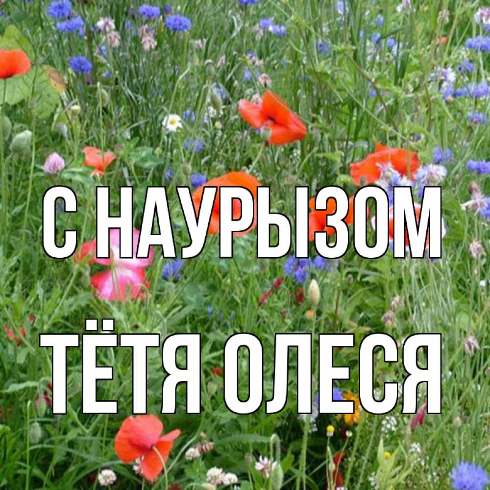 Открытка на каждый день с именем, Тётя-Олеся С наурызом праздник весны наурыз супер открытка Прикольная открытка с пожеланием онлайн скачать бесплатно 