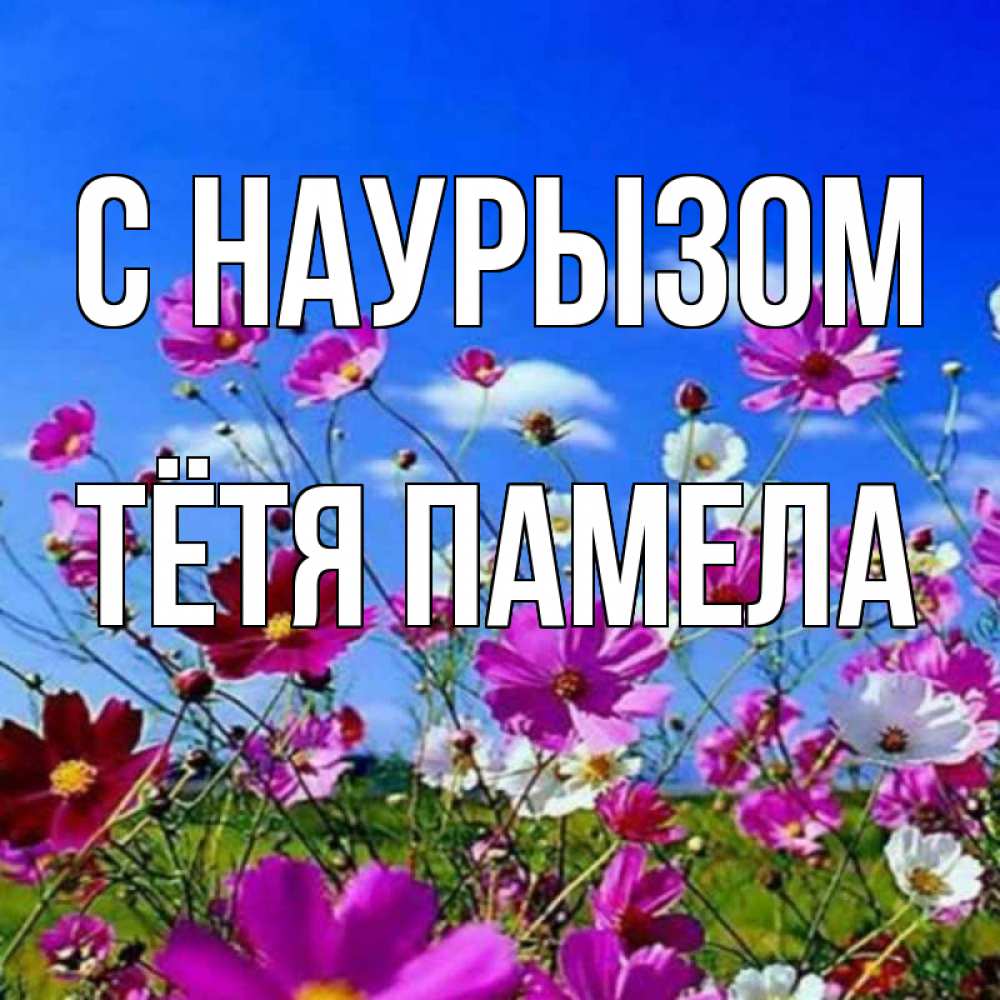 Открытка на каждый день с именем, Тётя-Памела С наурызом цветы Прикольная открытка с пожеланием онлайн скачать бесплатно 