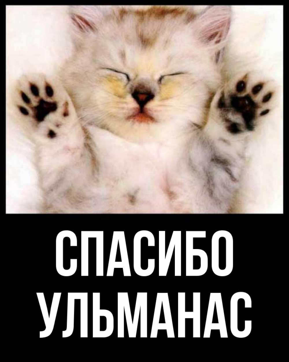 Открытка на каждый день с именем, Ульманас Спасибо маленький котенок Прикольная открытка с пожеланием онлайн скачать бесплатно 