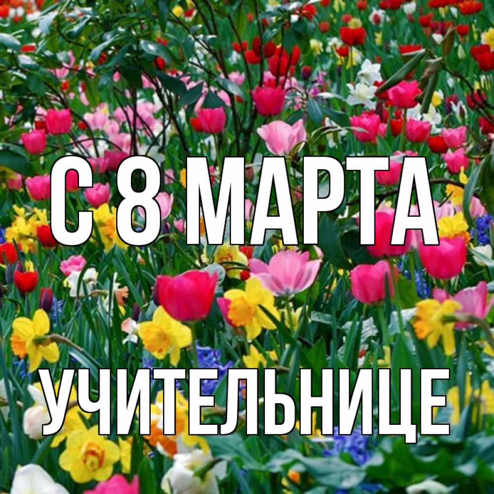Открытка на каждый день с именем, Учительнице С 8 МАРТА с международным женским днем поздравления для женщины Прикольная открытка с пожеланием онлайн скачать бесплатно 