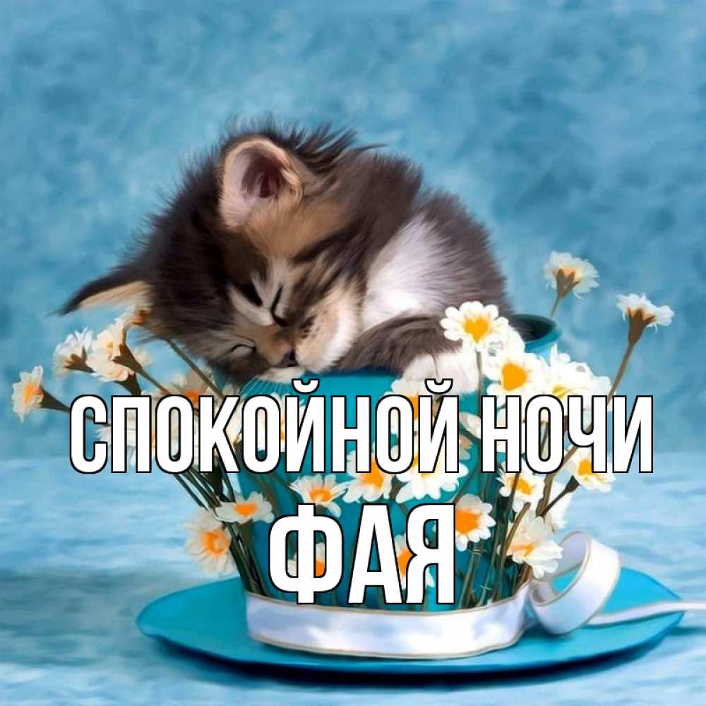Открытка на каждый день с именем, Фая Спокойной ночи котенок спит в кружке с блюдцем Прикольная открытка с пожеланием онлайн скачать бесплатно 