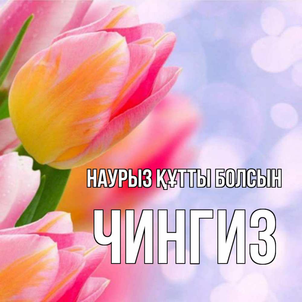Открытка на каждый день с именем, Чингиз Наурыз құтты болсын тюльпаны 2 Прикольная открытка с пожеланием онлайн скачать бесплатно 