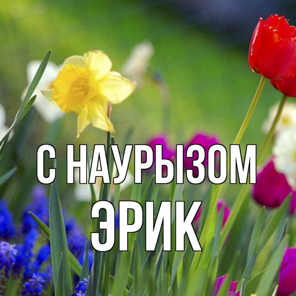 Открытка на каждый день с именем, Эрик С наурызом праздник весны наурыз 3 Прикольная открытка с пожеланием онлайн скачать бесплатно 