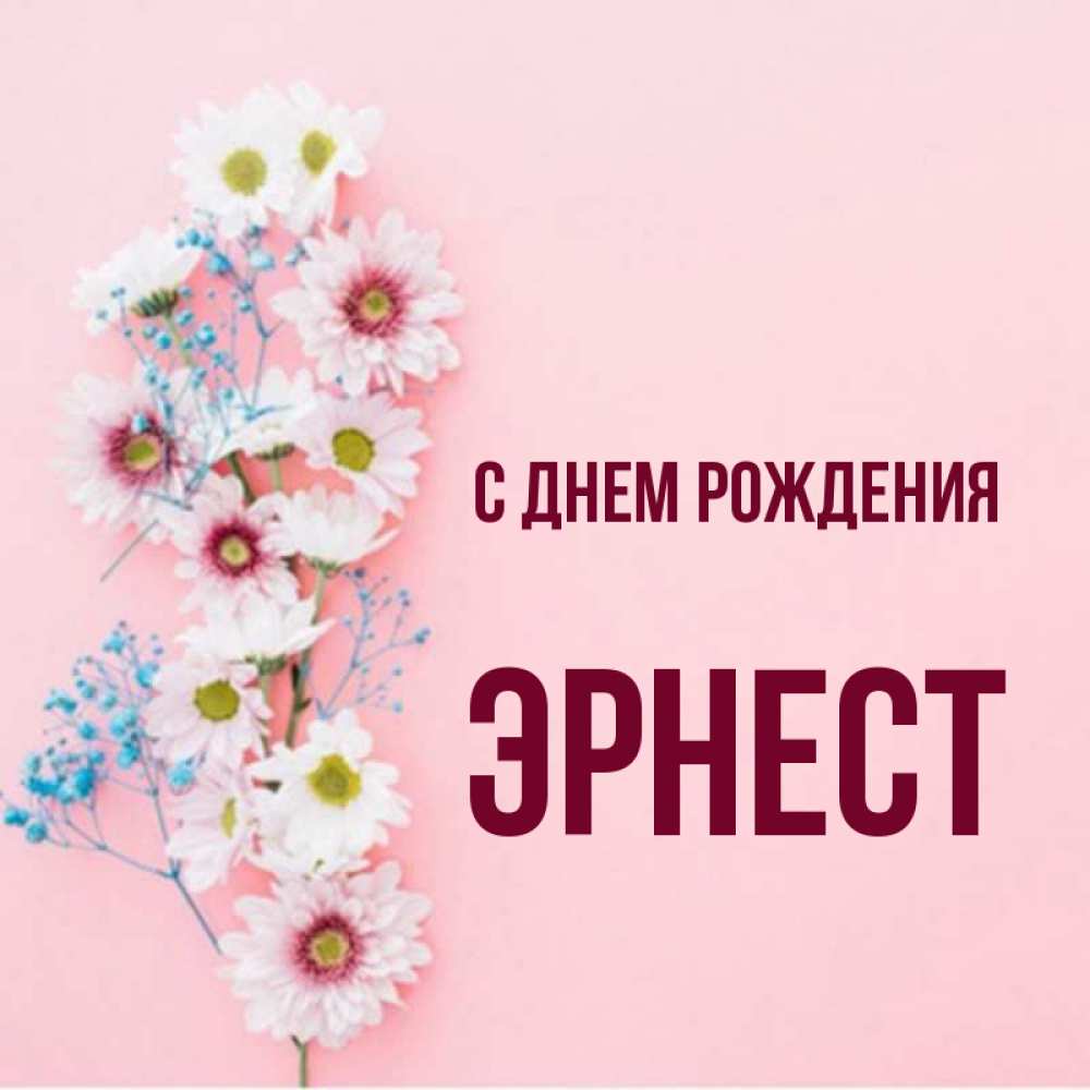 Эрнест С Днем Рождения
