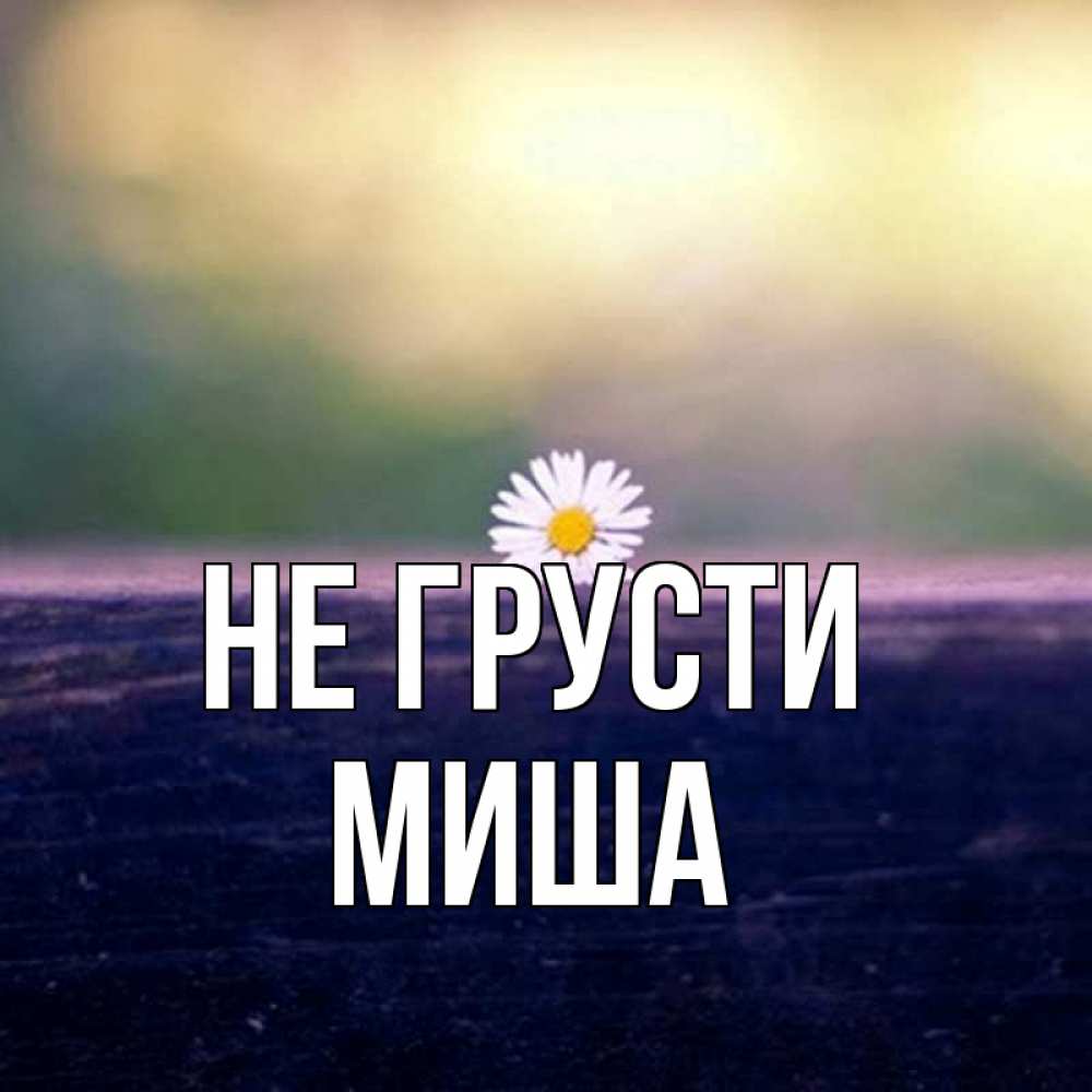 достигается счет картинки миша не грусти предположительно, произошло