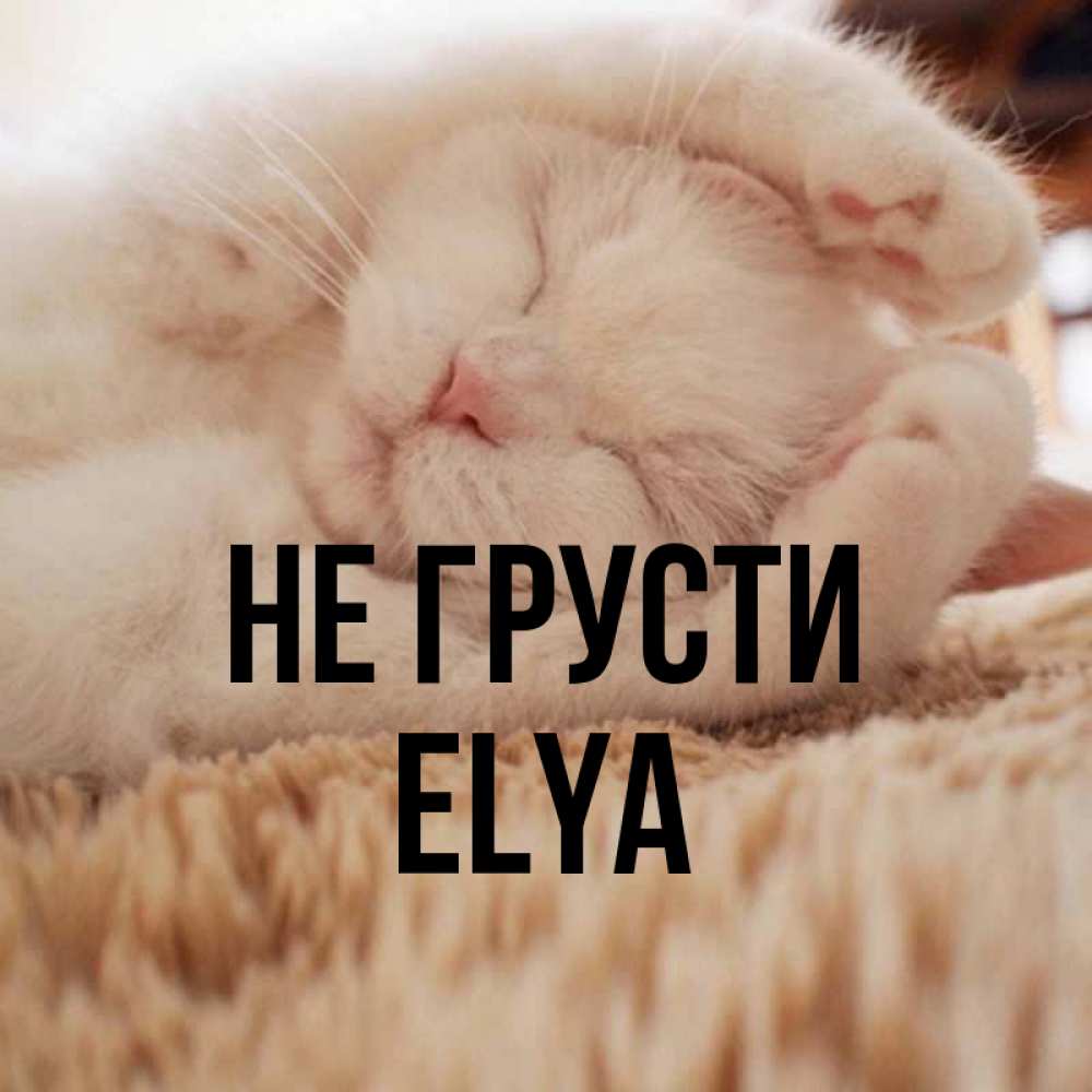 Сашка не грусти картинки