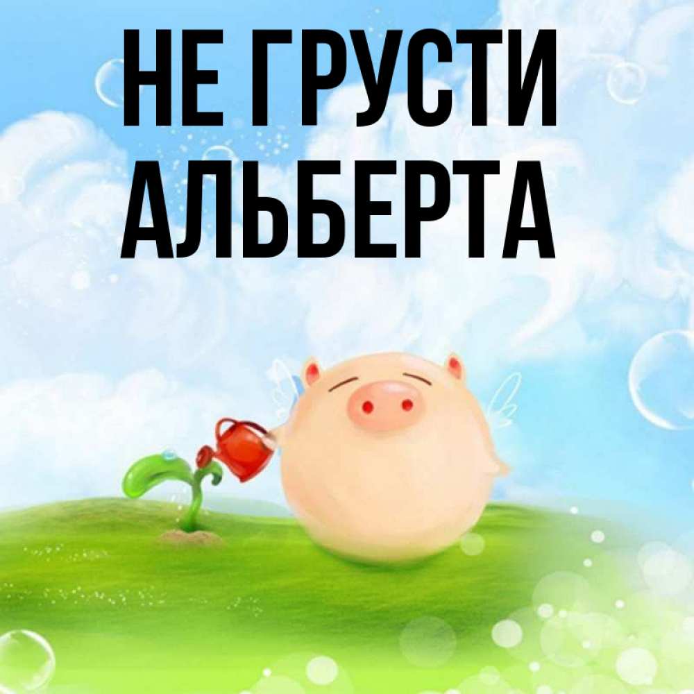 Открытка на каждый день с именем, Альберта Не грусти поливает цветок порося Прикольная открытка с пожеланием онлайн скачать бесплатно 