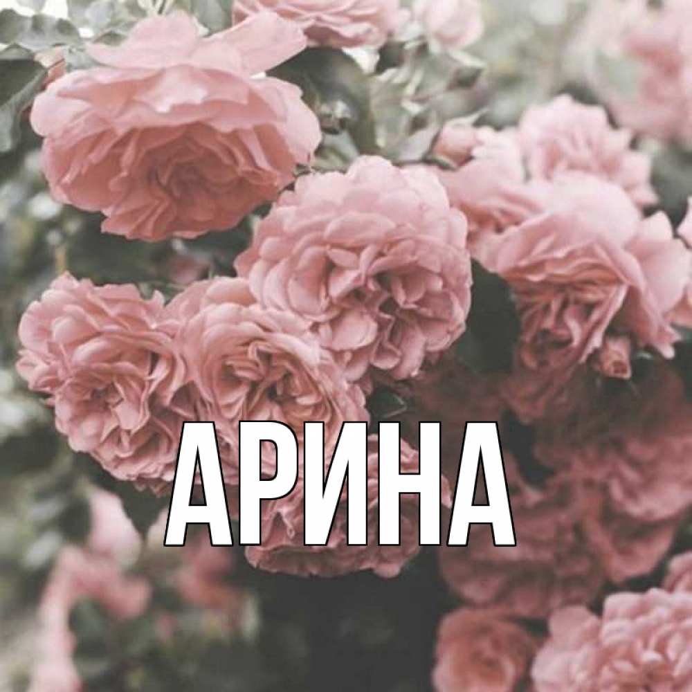 Открытка на каждый день с именем, Арина Главная розы 3 Прикольная открытка с пожеланием онлайн скачать бесплатно 