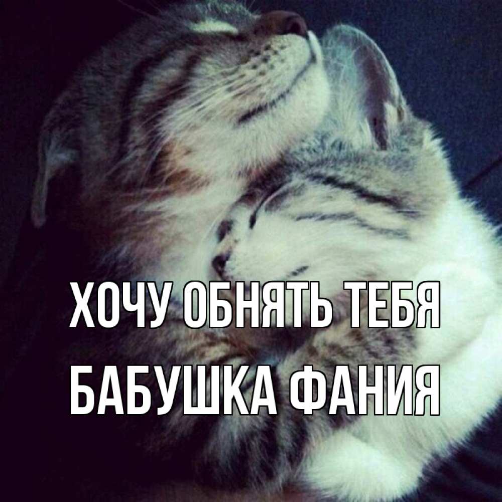 Открытка на каждый день с именем, Бабушка-Фания Хочу обнять тебя полосатики Прикольная открытка с пожеланием онлайн скачать бесплатно 