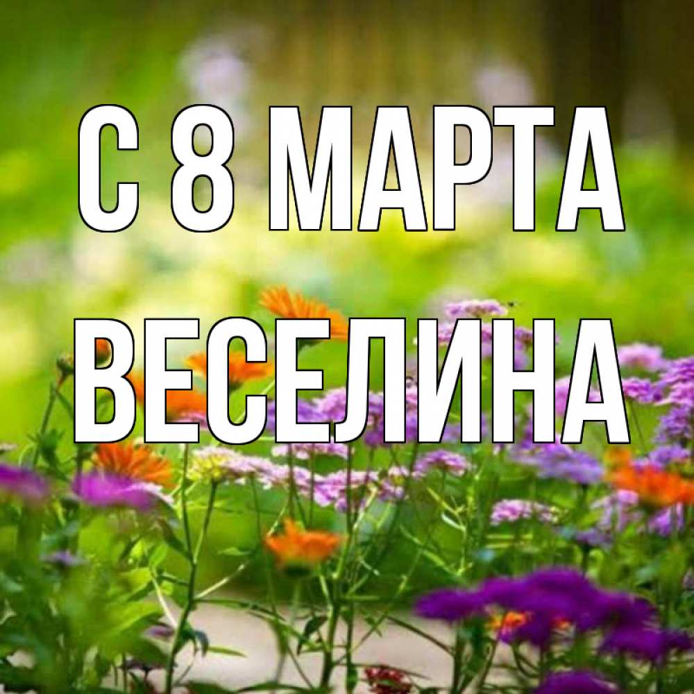 Открытка на каждый день с именем, Веселина С 8 МАРТА цветы Прикольная открытка с пожеланием онлайн скачать бесплатно 