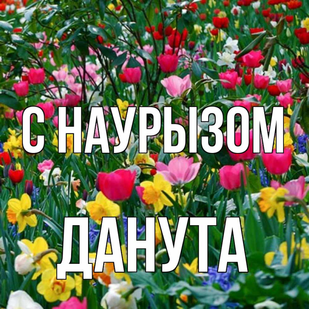 Открытка на каждый день с именем, Данута С наурызом с наурызом праздником весны поздравления для женщины Прикольная открытка с пожеланием онлайн скачать бесплатно 