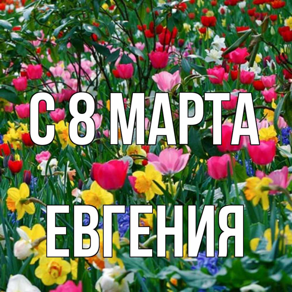 Открытка на каждый день с именем, Евгения С 8 МАРТА с международным женским днем поздравления для женщины Прикольная открытка с пожеланием онлайн скачать бесплатно 