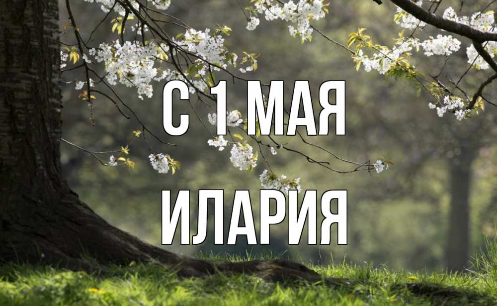 Открытка на каждый день с именем, Илария С 1 мая С 1 мая Прикольная открытка с пожеланием онлайн скачать бесплатно 