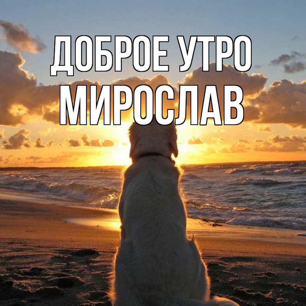 Открытка на каждый день с именем, Мирослав Доброе утро восход солнца Прикольная открытка с пожеланием онлайн скачать бесплатно 