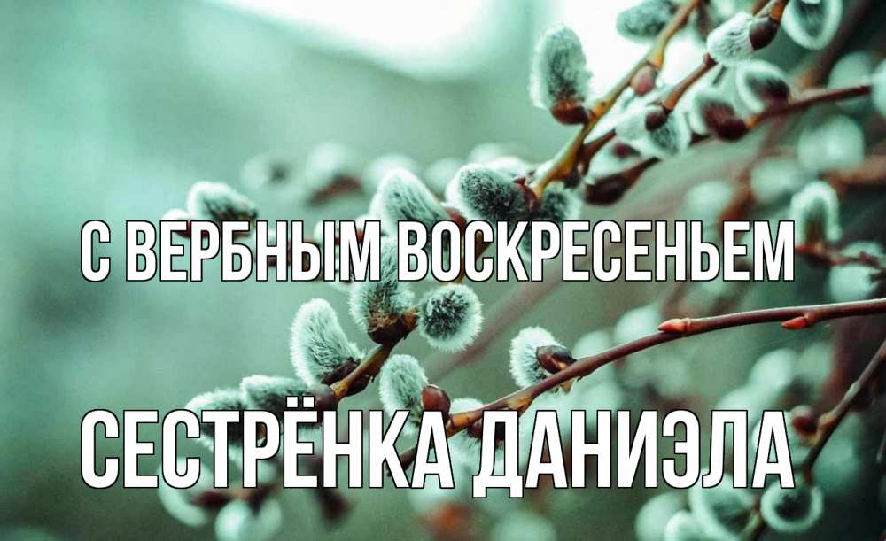 Открытка на каждый день с именем, Сестрёнка-Даниэла С вербным воскресеньем верба Прикольная открытка с пожеланием онлайн скачать бесплатно 