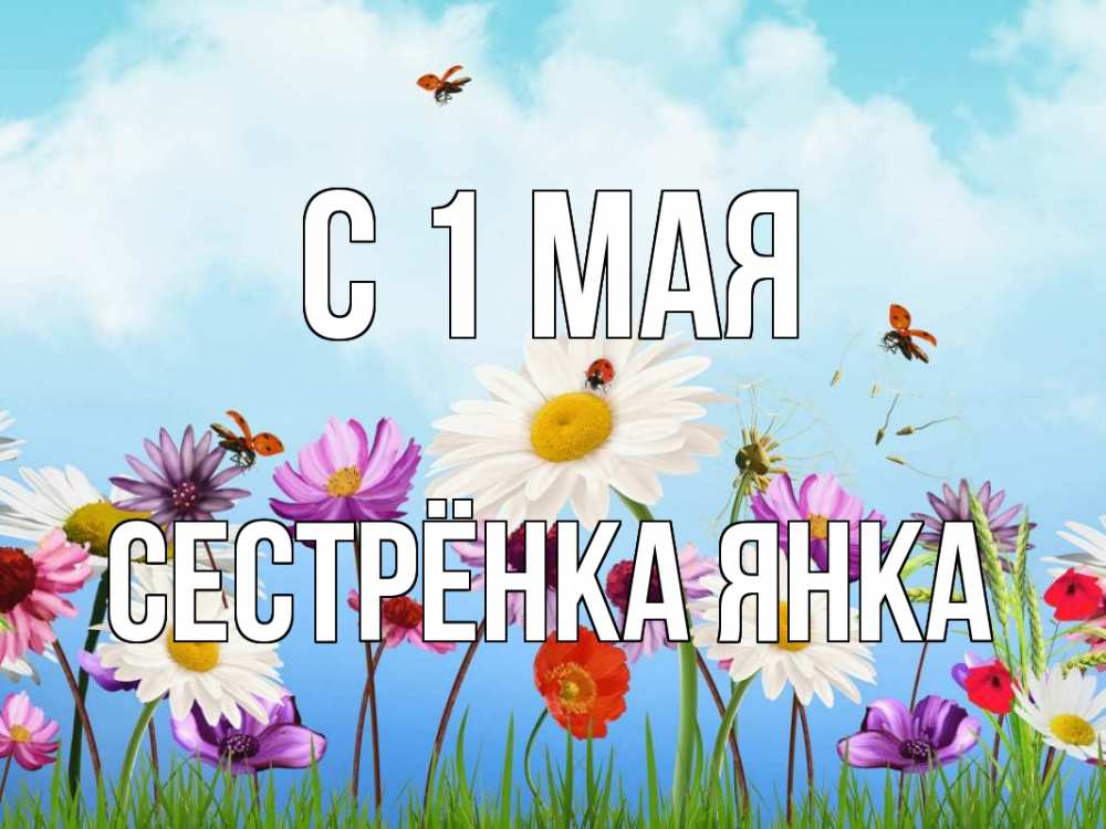 Открытка на каждый день с именем, Сестрёнка-Янка С 1 мая С 1 мая Прикольная открытка с пожеланием онлайн скачать бесплатно 
