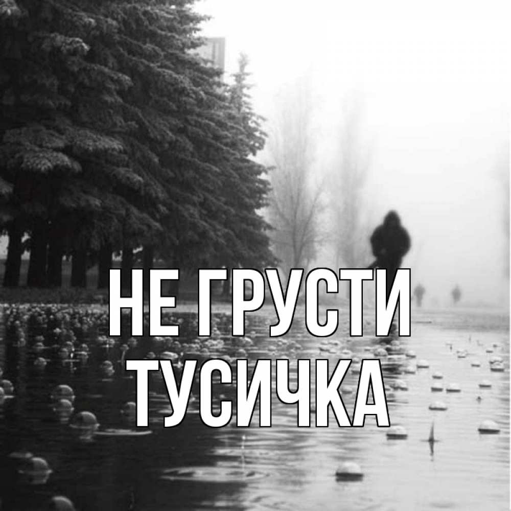 Открытка на каждый день с именем, Тусичка Не грусти улица под дождем Прикольная открытка с пожеланием онлайн скачать бесплатно 