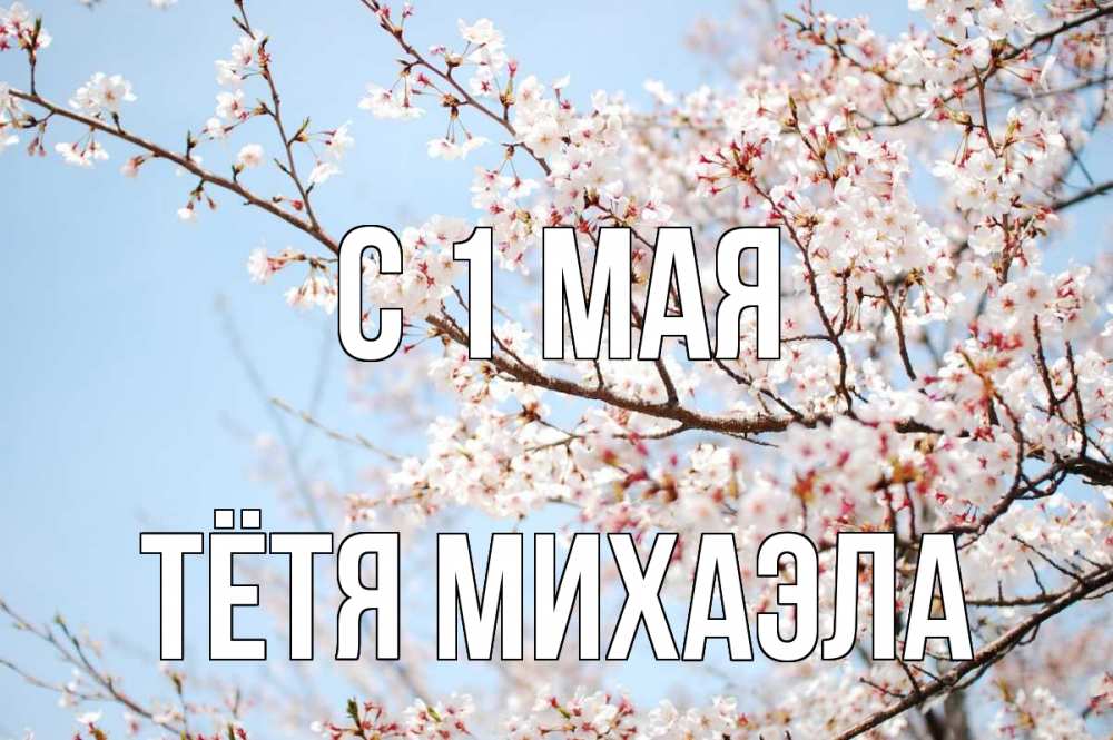Открытка на каждый день с именем, Тётя-Михаэла С 1 мая С 1 мая Прикольная открытка с пожеланием онлайн скачать бесплатно 
