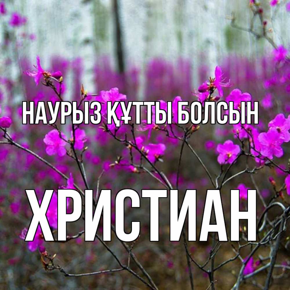 Открытка на каждый день с именем, Христиан Наурыз құтты болсын дикие цветы Прикольная открытка с пожеланием онлайн скачать бесплатно 