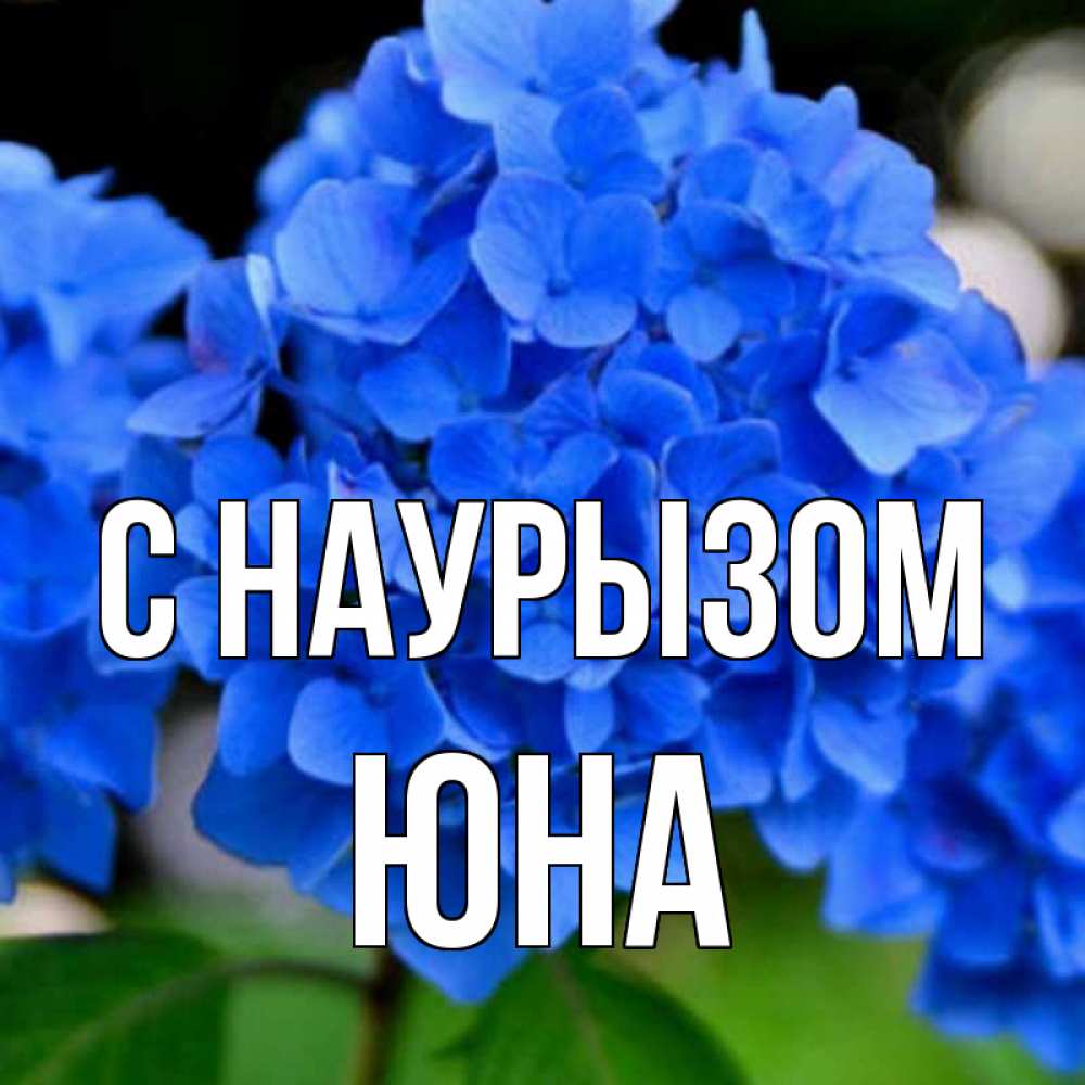 Открытка на каждый день с именем, Юна С наурызом синие цветы Прикольная открытка с пожеланием онлайн скачать бесплатно 