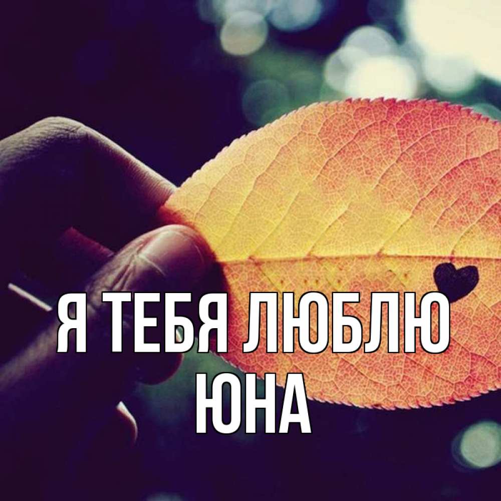 Открытка на каждый день с именем, Юна Я тебя люблю держу лист Прикольная открытка с пожеланием онлайн скачать бесплатно 