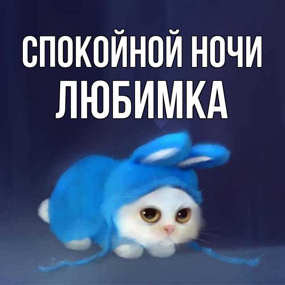 Открытка на каждый день с именем, любимка Спокойной ночи кот в голубом костюме кролика с ушками Прикольная открытка с пожеланием онлайн скачать бесплатно 