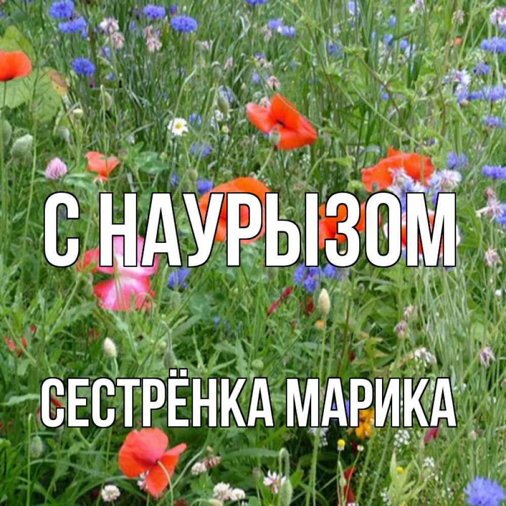 Открытка на каждый день с именем, Сестрёнка-Марика С наурызом праздник весны наурыз супер открытка Прикольная открытка с пожеланием онлайн скачать бесплатно 