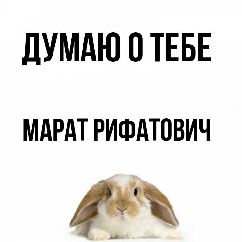 Картинки С Именем Марат