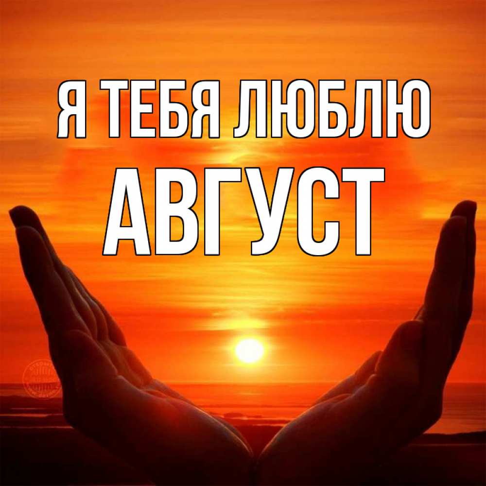 Открытка на каждый день с именем, Август Я тебя люблю в руках Прикольная открытка с пожеланием онлайн скачать бесплатно 