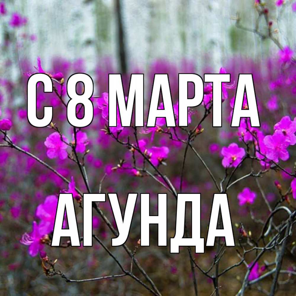 Открытка на каждый день с именем, Агунда С 8 марта дикие цветы Прикольная открытка с пожеланием онлайн скачать бесплатно 