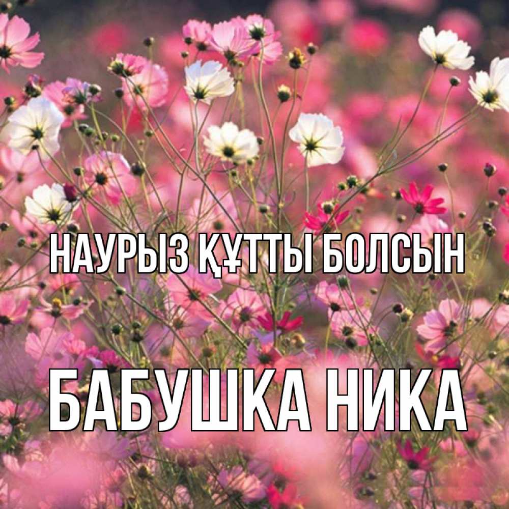 Открытка на каждый день с именем, Бабушка-Ника Наурыз құтты болсын красиво 1 Прикольная открытка с пожеланием онлайн скачать бесплатно 
